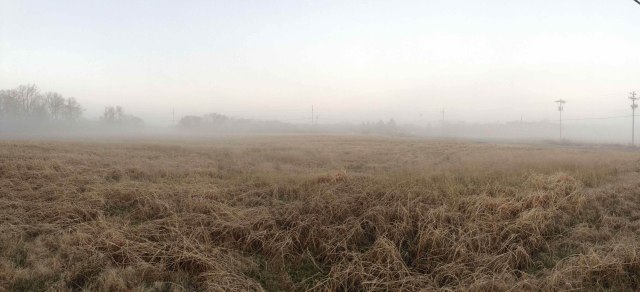 Grief rolled in like a fog