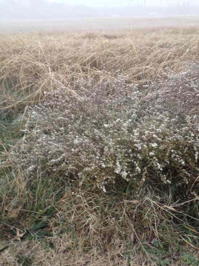 When you can only see what is right in front of you