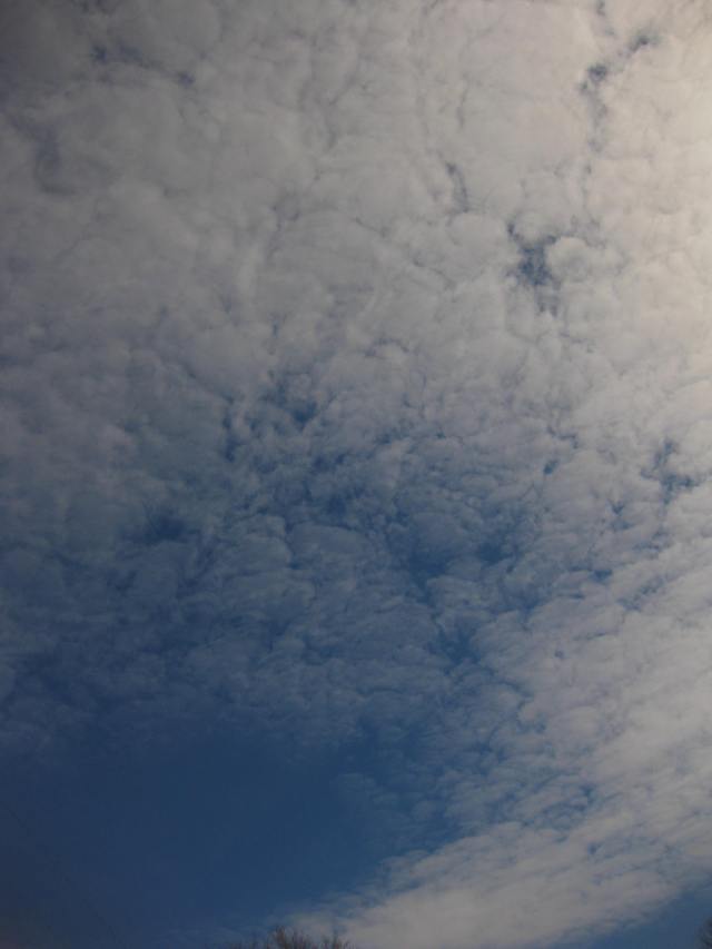 A picture of my soul