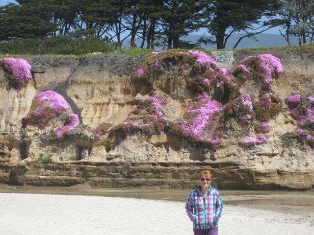 Half Moon Bay Cliffs with Ice Flowers April 28, 2013