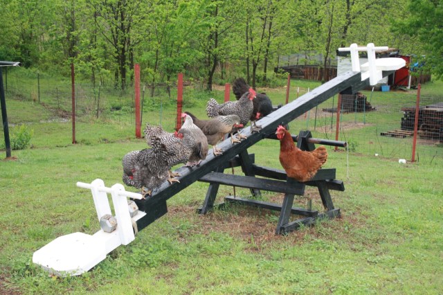 When the teeter won't totter