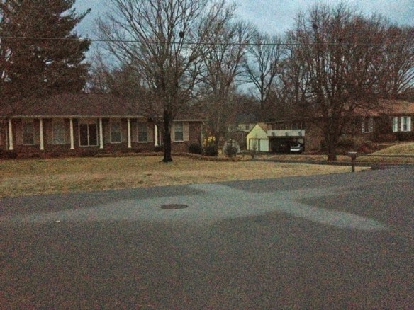 Literally a "cross-roads" in front of my house.  To listen or not to listen? 