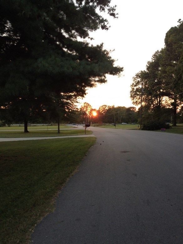 On the road to unfold the past with the light of truth