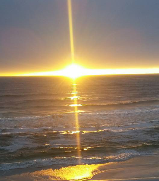 Lou's Christmas Star 2015