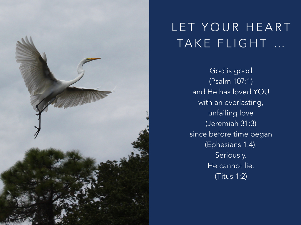 let-your-heart-take-flight-001