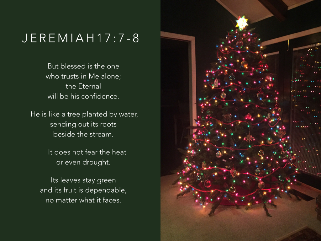 jeremiah-17_7-8-002