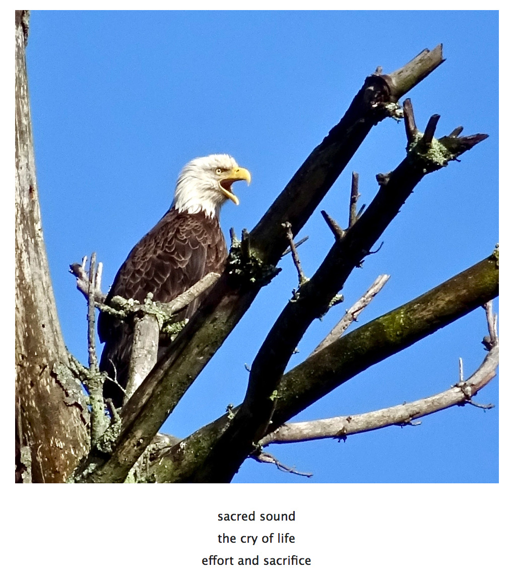 Enunciate who you are